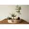 Hello Honey® 17'' Distressed Brown Paulownia Wood Hand Carved Tray